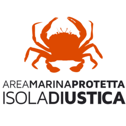 AMP USTICA logo